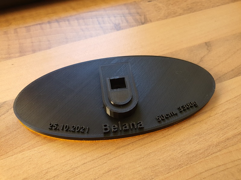 Lithopan 11